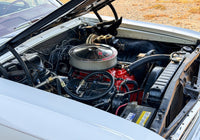 1966 Chevrolet Chevelle SS 396 – Chevrolet – High Noon Luxury Motors Georgetown TX